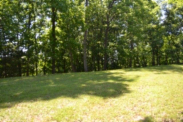 318 Rock Springs Rd, Celina, TN 38551