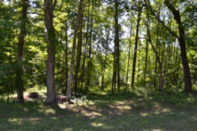 318 Rock Springs Rd, Celina, TN 38551