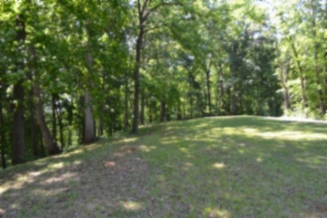 318 Rock Springs Rd, Celina, TN 38551