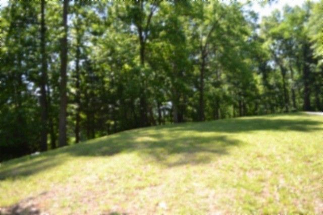 318 Rock Springs Rd, Celina, TN 38551