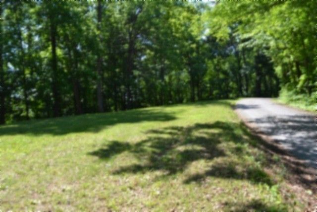 318 Rock Springs Rd, Celina, TN 38551