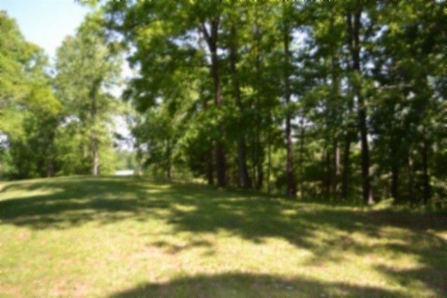 318 Rock Springs Rd, Celina, TN 38551