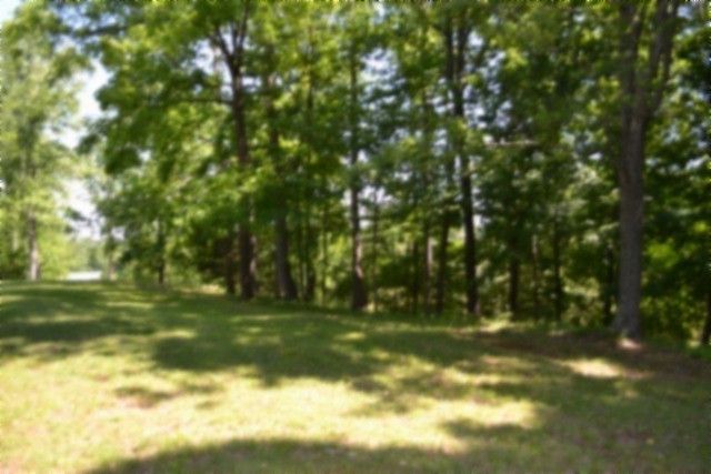 318 Rock Springs Rd, Celina, TN 38551