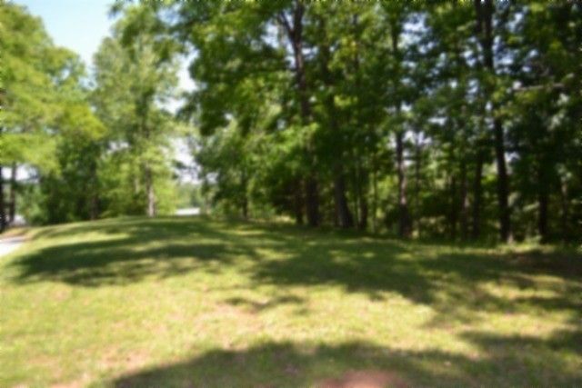 318 Rock Springs Rd, Celina, TN 38551
