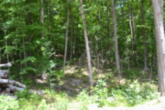 318 Rock Springs Rd, Celina, TN 38551