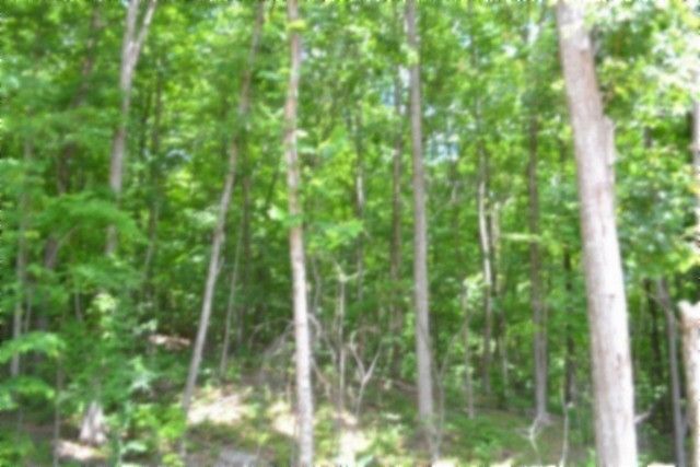 318 Rock Springs Rd, Celina, TN 38551