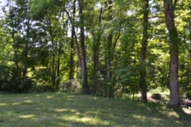 318 Rock Springs Rd, Celina, TN 38551