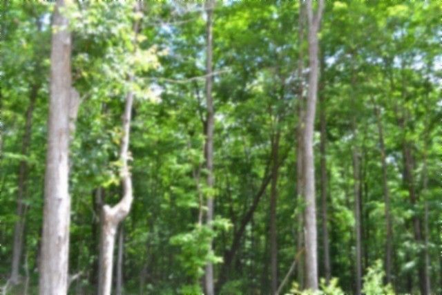 318 Rock Springs Rd, Celina, TN 38551