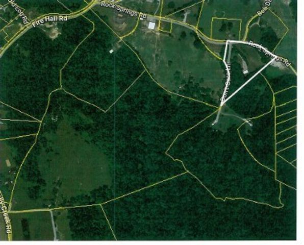 318 Rock Springs Rd, Celina, TN 38551