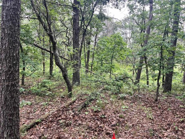 732 W 15th Drive, Nekoosa, WI 54457