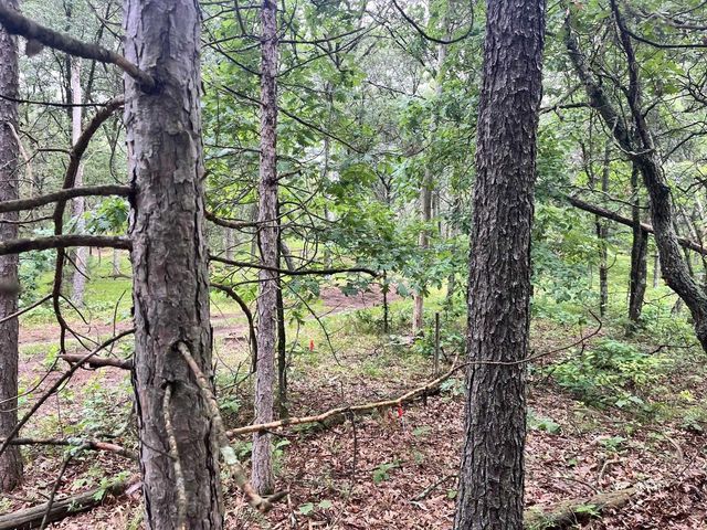 732 W 15th Drive, Nekoosa, WI 54457
