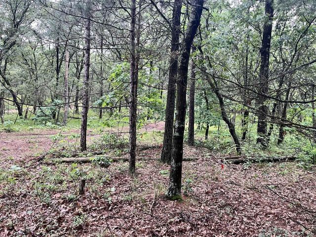 732 W 15th Drive, Nekoosa, WI 54457