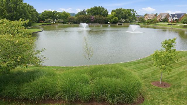 3391 Vinemont Drive, Thompsons Station, TN 37179