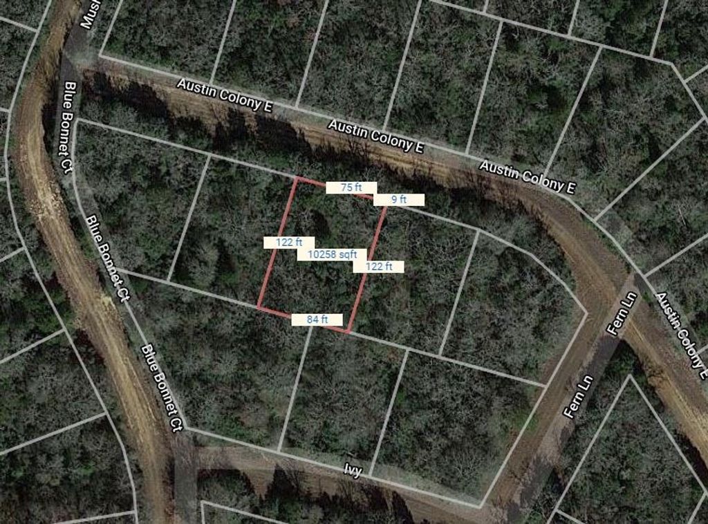 Lot 3 E Austin Colony, Normangee, TX 77871