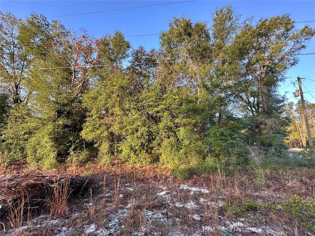 NW 16TH PLACE, Ocala, FL 34482