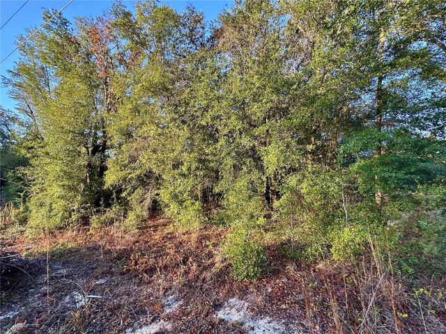 NW 16TH PLACE, Ocala, FL 34482