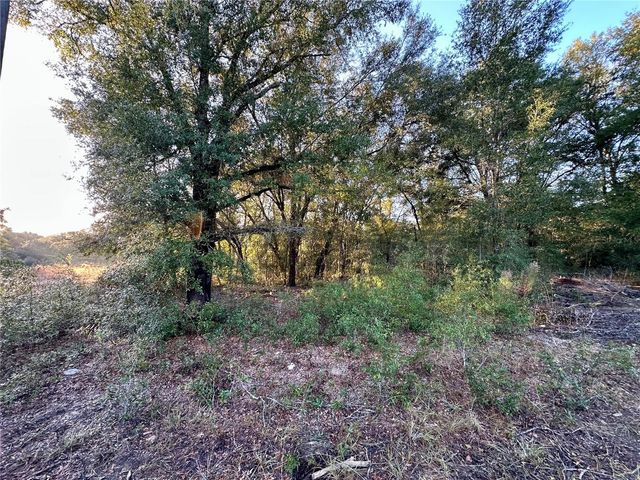 NW 16TH PLACE, Ocala, FL 34482