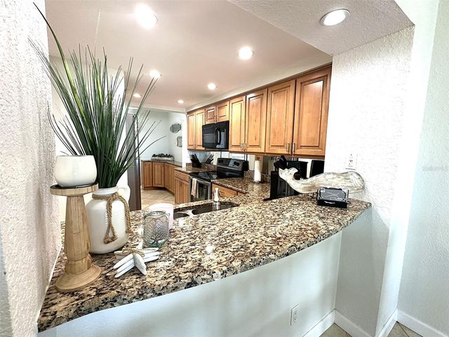 6081 BAHIA DEL MAR CIRCLE 154, St Petersburg, FL 33715