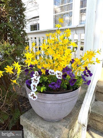 1236 DELAWARE AVE, Wyomissing, PA 19610