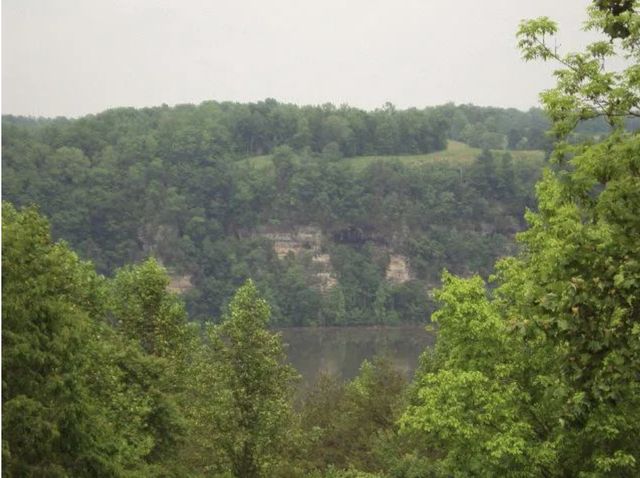 195 Summer Breeze Dr, Smithville, TN 37166