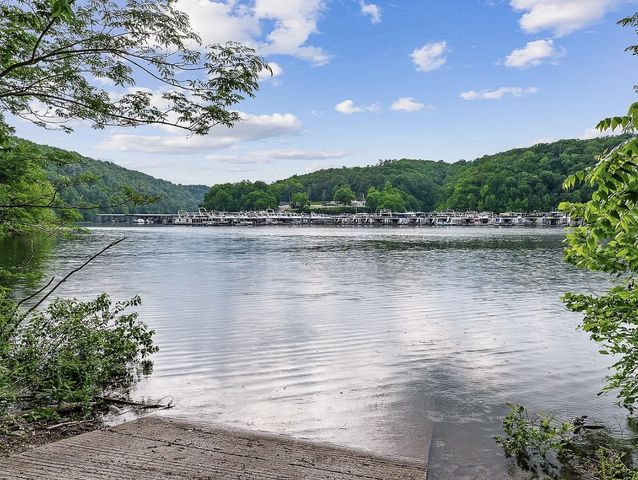 195 Summer Breeze Dr, Smithville, TN 37166