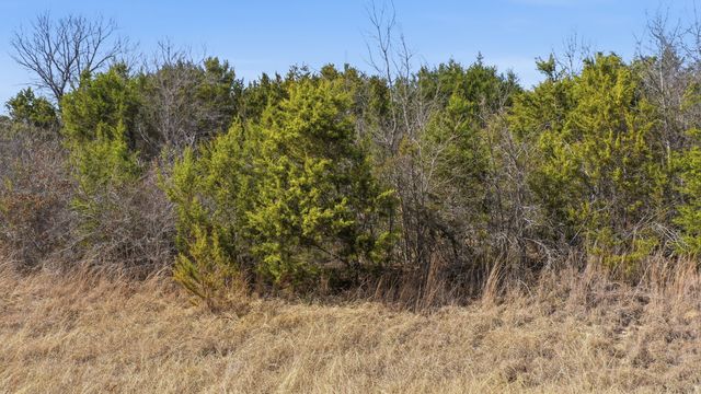 TBD Bluegill Ridge, Bluff Dale, TX 76433