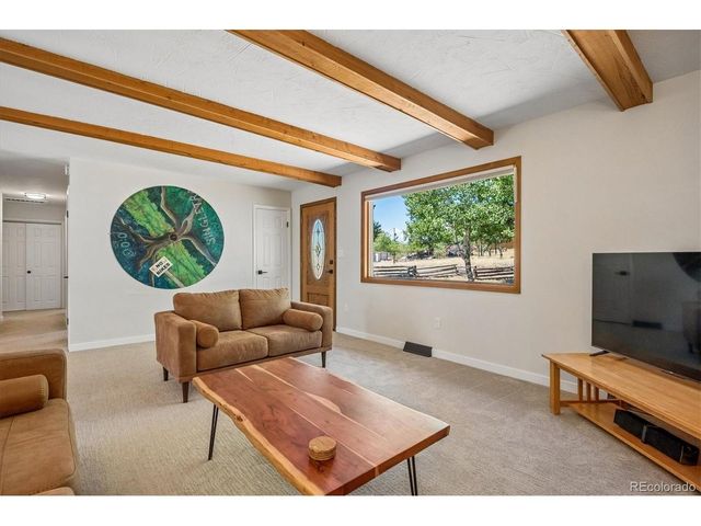 13258 S Mohawk St, Pine, CO 80470
