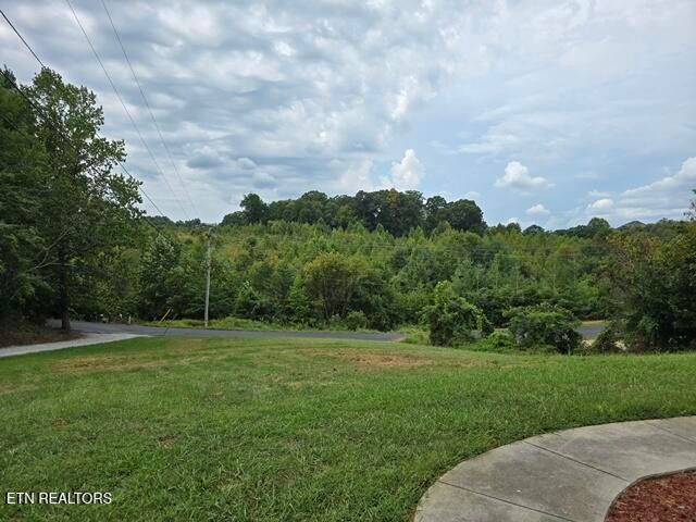 3110 Nevils Way, Sevierville, TN 37876