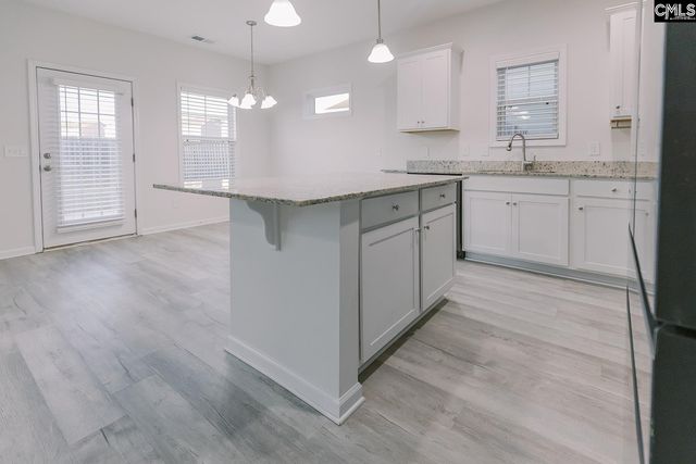 337 Wahoo Circle, Irmo, SC 29063