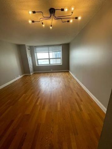 474 N Lake Shore Drive 5109, Chicago, IL 60611