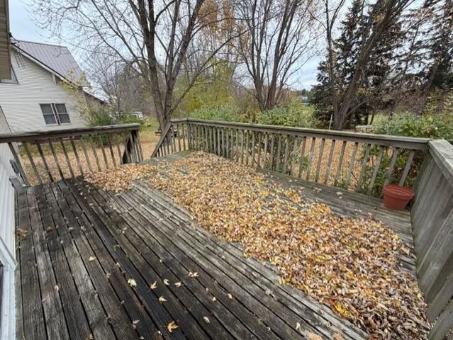 607 W 4th Street, Litchfield, MN 55355