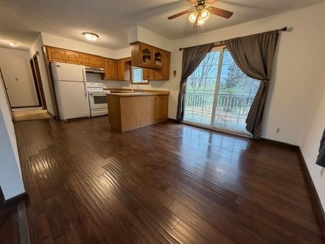 607 W 4th Street, Litchfield, MN 55355