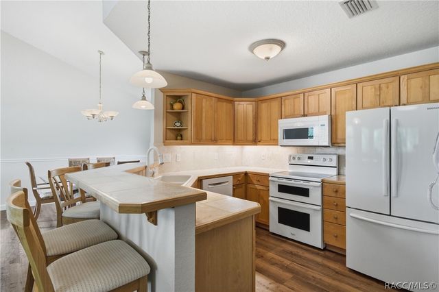 6610 S Merleing Loop, Floral City, FL 34436