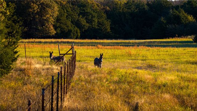 1210 County Road 232, Collinsville, TX 76233