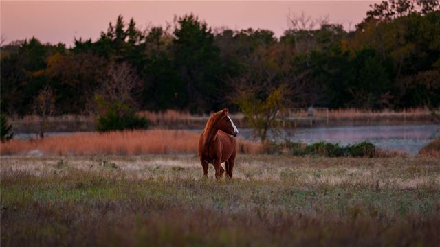 1210 County Road 232, Collinsville, TX 76233
