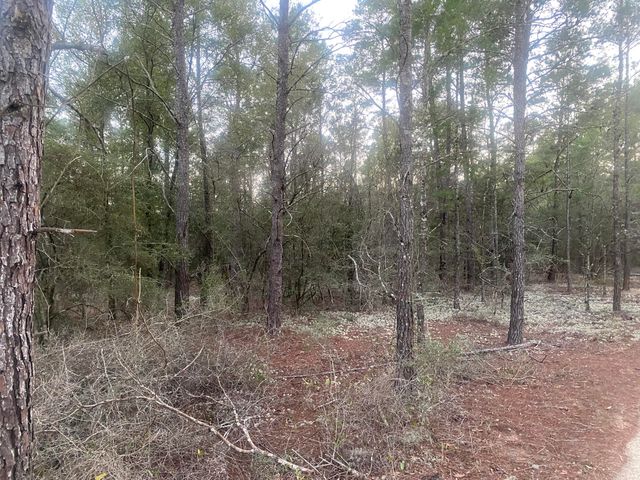 00 E Black Cherry Drive, Defuniak Springs, FL 32433