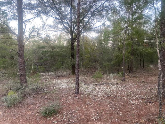 00 E Black Cherry Drive, Defuniak Springs, FL 32433