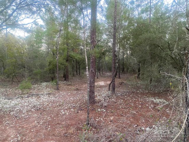 00 E Black Cherry Drive, Defuniak Springs, FL 32433