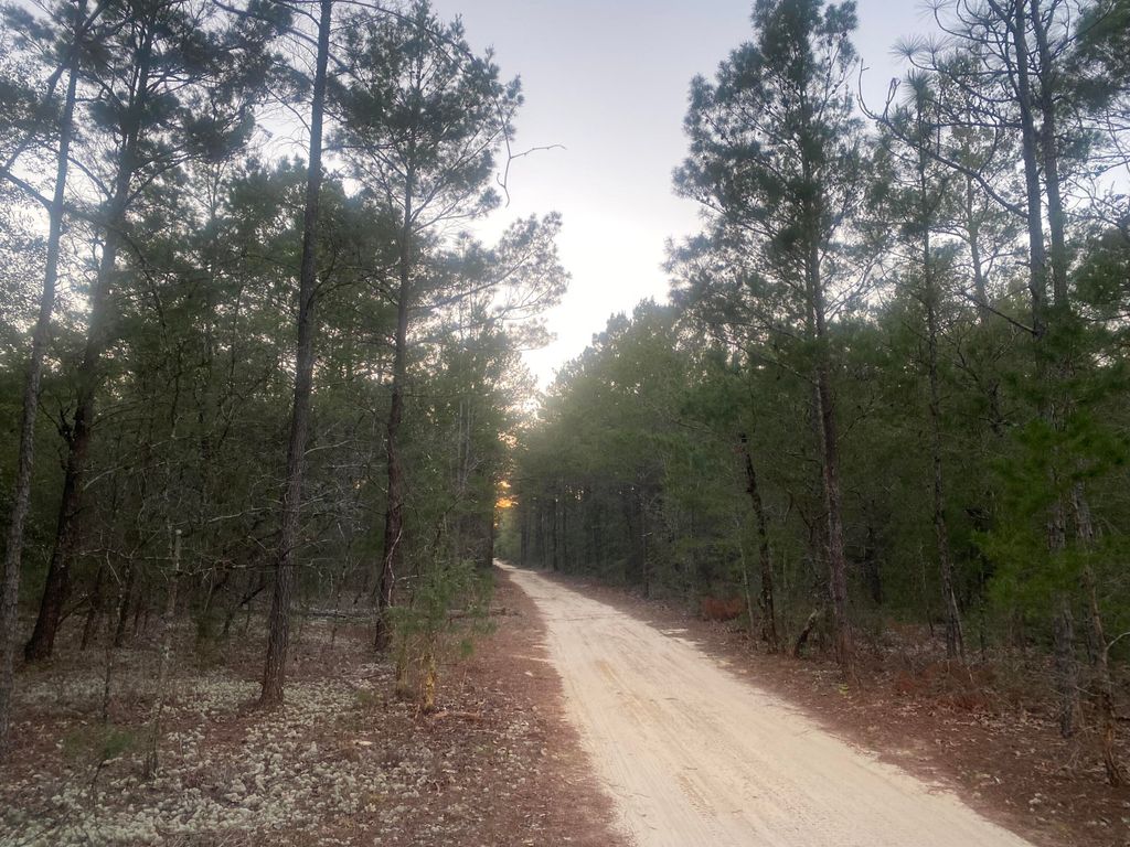 00 E Black Cherry Drive, Defuniak Springs, FL 32433