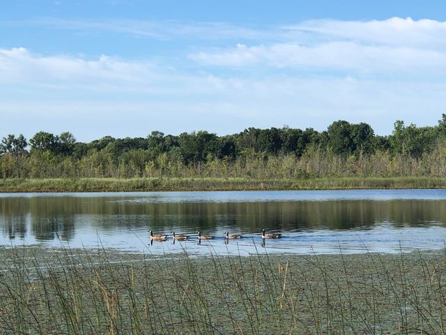 9033 Timbercrest Lane, Whitmore Lake, MI 48189