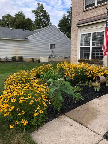 9033 Timbercrest Lane, Whitmore Lake, MI 48189