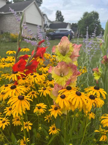 9033 Timbercrest Lane, Whitmore Lake, MI 48189