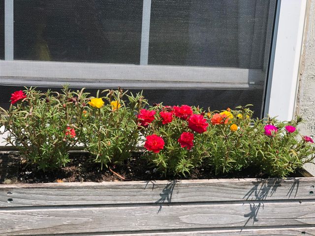 9033 Timbercrest Lane, Whitmore Lake, MI 48189