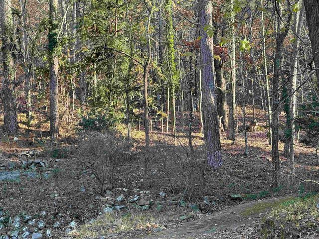 310 Ramble St Street, Hot Springs, AR 71901