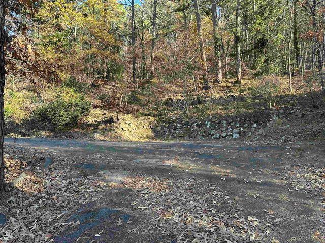 310 Ramble St Street, Hot Springs, AR 71901