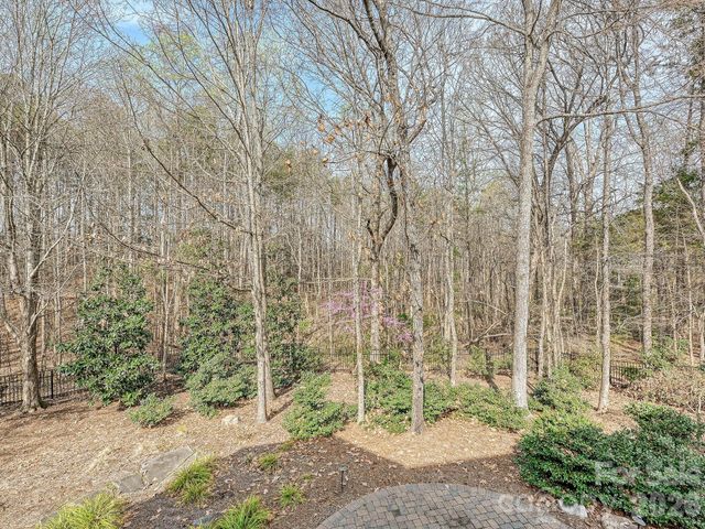 15008 Fanning Manor Court, Charlotte, NC 28277