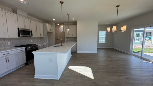 5360 Crinum Lilly Drive, Summerville, SC 29485