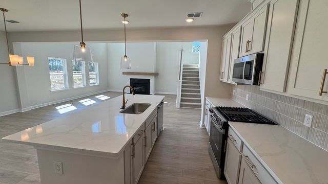 5360 Crinum Lilly Drive, Summerville, SC 29485