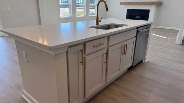 5360 Crinum Lilly Drive, Summerville, SC 29485