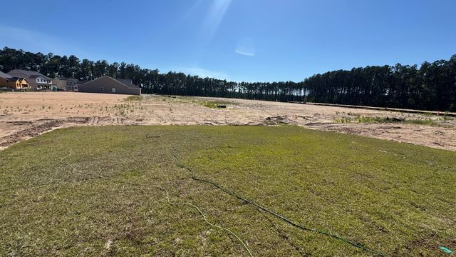 5360 Crinum Lilly Drive, Summerville, SC 29485